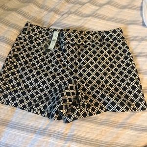 ❤️NWT LOFT shorts-navy and white! ❤️